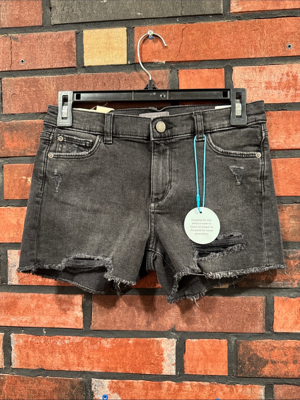dl1961 lucy short